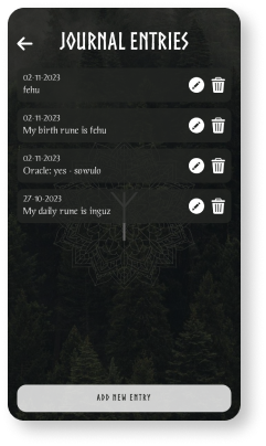 rune reading journal