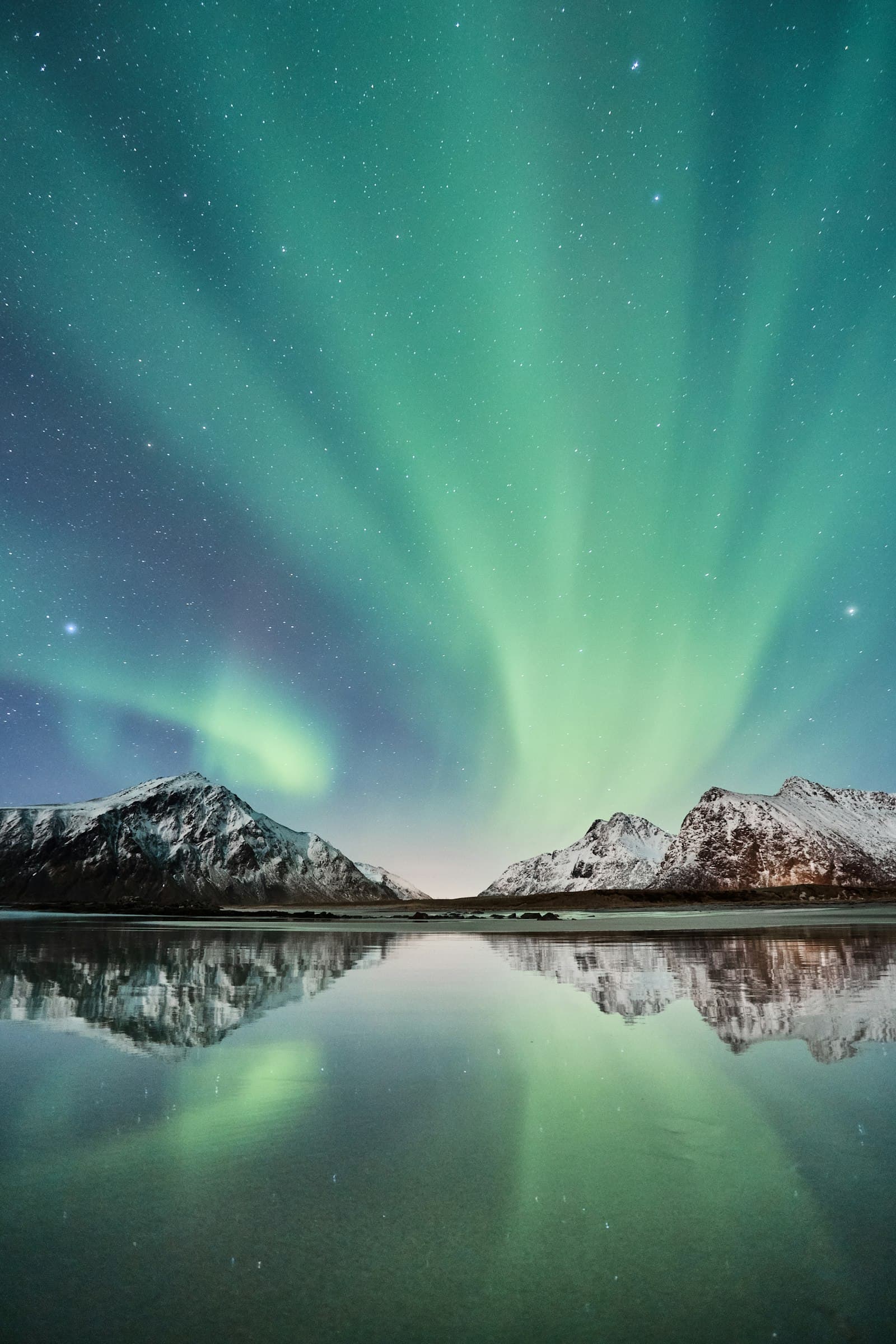The aurora borealis burning green and violet across a night sky